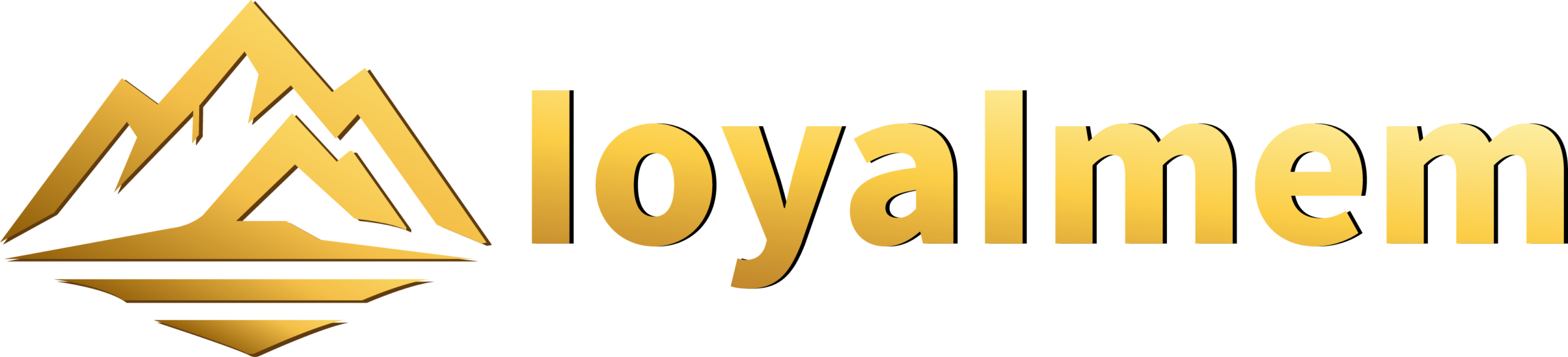 Shandong LoyalMem Tech Co., Ltd. logo